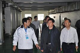 河北省委常委、副省長楊崇勇到我公司視察