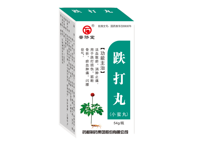 跌打丸小蜜丸.png 跌打丸小蜜丸.png